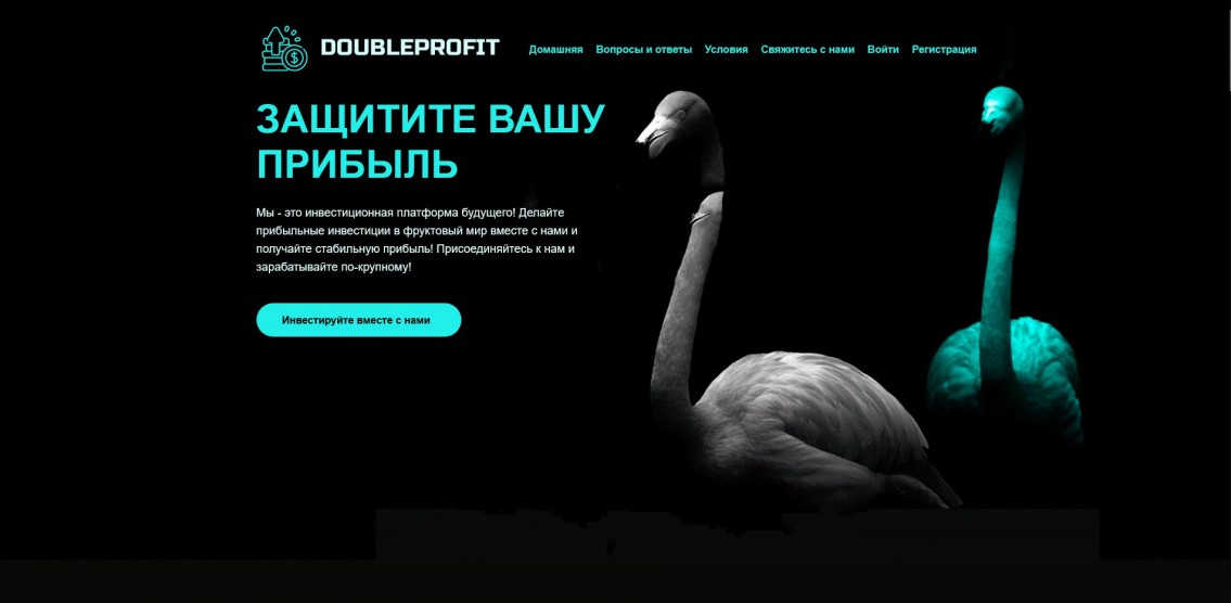 DoubleProfit