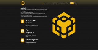 BNB-pool